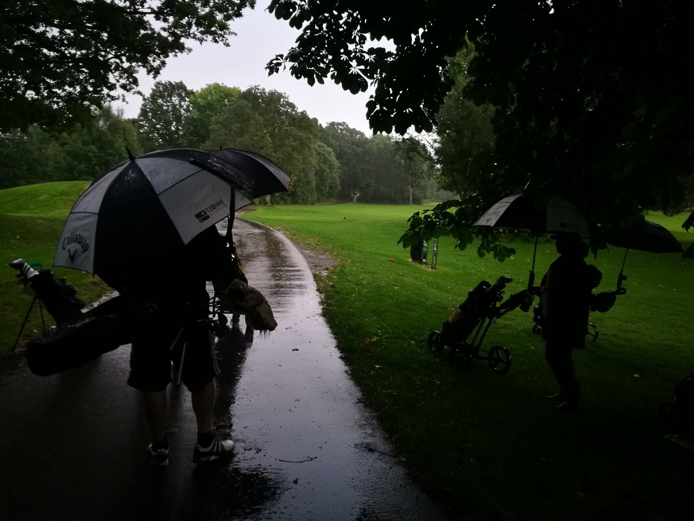 Bilde av våte golfere under store paraplyer i regnvær