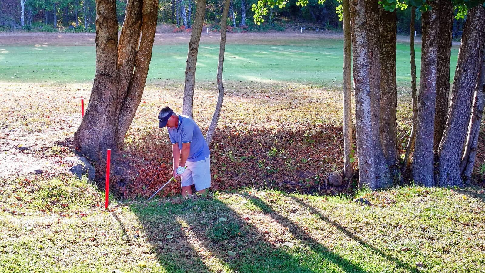 Bare i golf!
